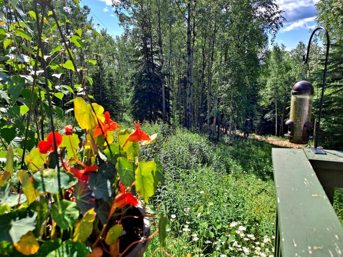 פיירבנקס Northwoods Cottage Bed And Breakfast מראה חיצוני תמונה